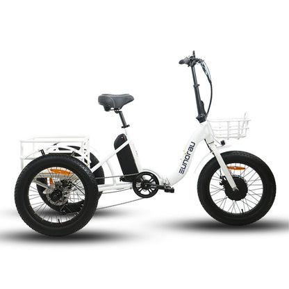 NEW-TRIKE 1.0