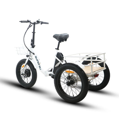 NEW-TRIKE 1.0