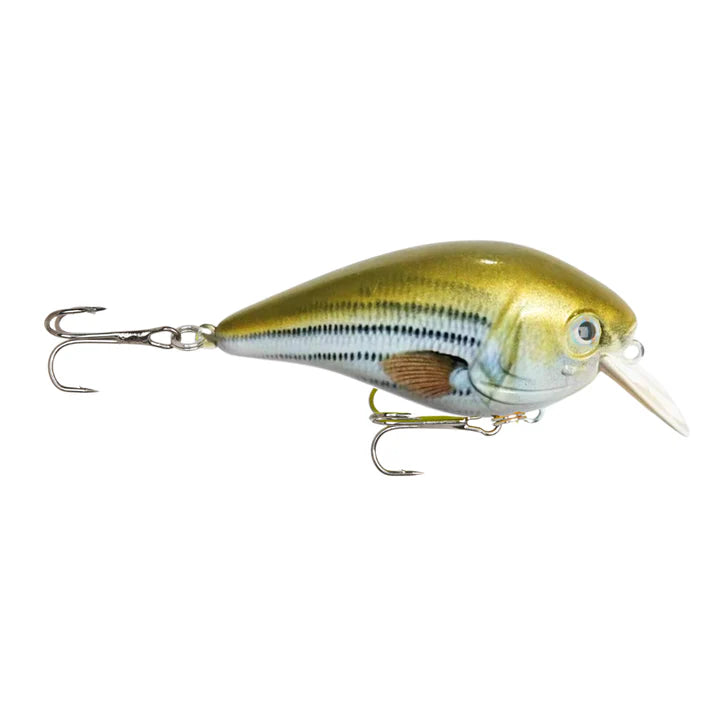 ReCast Fishing BioSeries Squarebill Crankbait