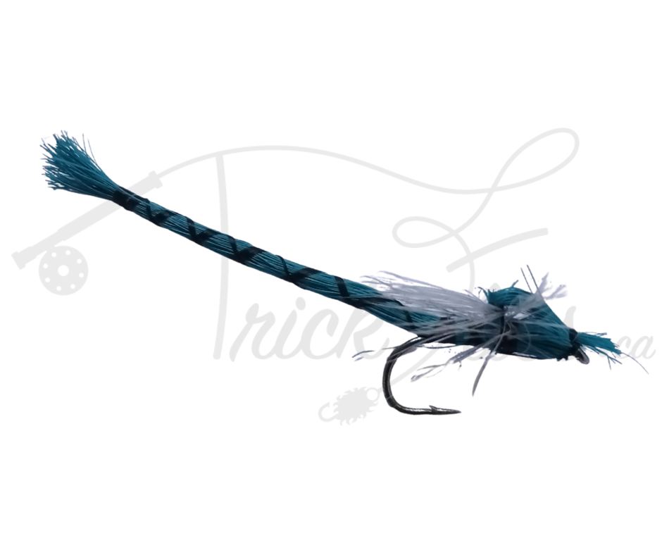Parachute Damselfly Blue