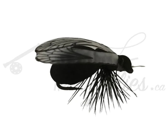 Realistic Winged Ant Black