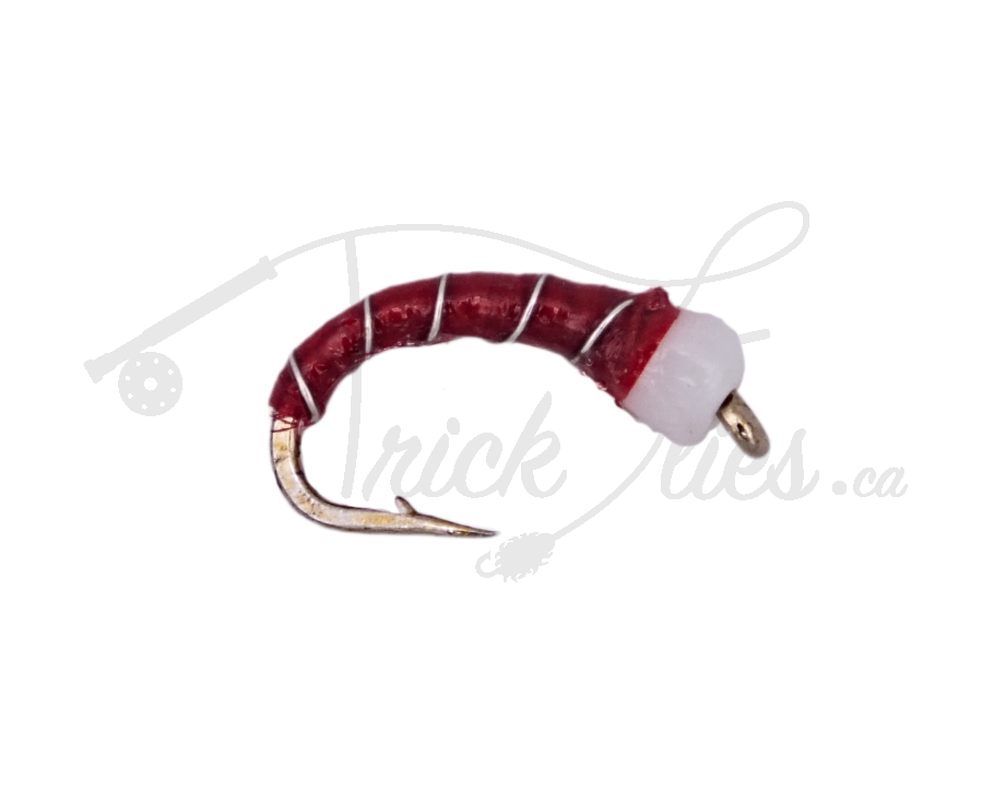 Red Butt Chironomid Red