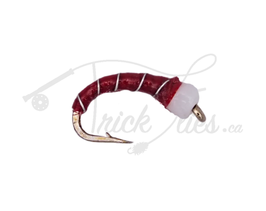 Red Butt Chironomid Red