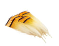 KINDALE - GOLDEN PHEASANT TIPPET