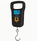 Portable Electronic Scale