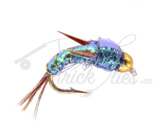 Tungsten Beadhead Evil Weevil