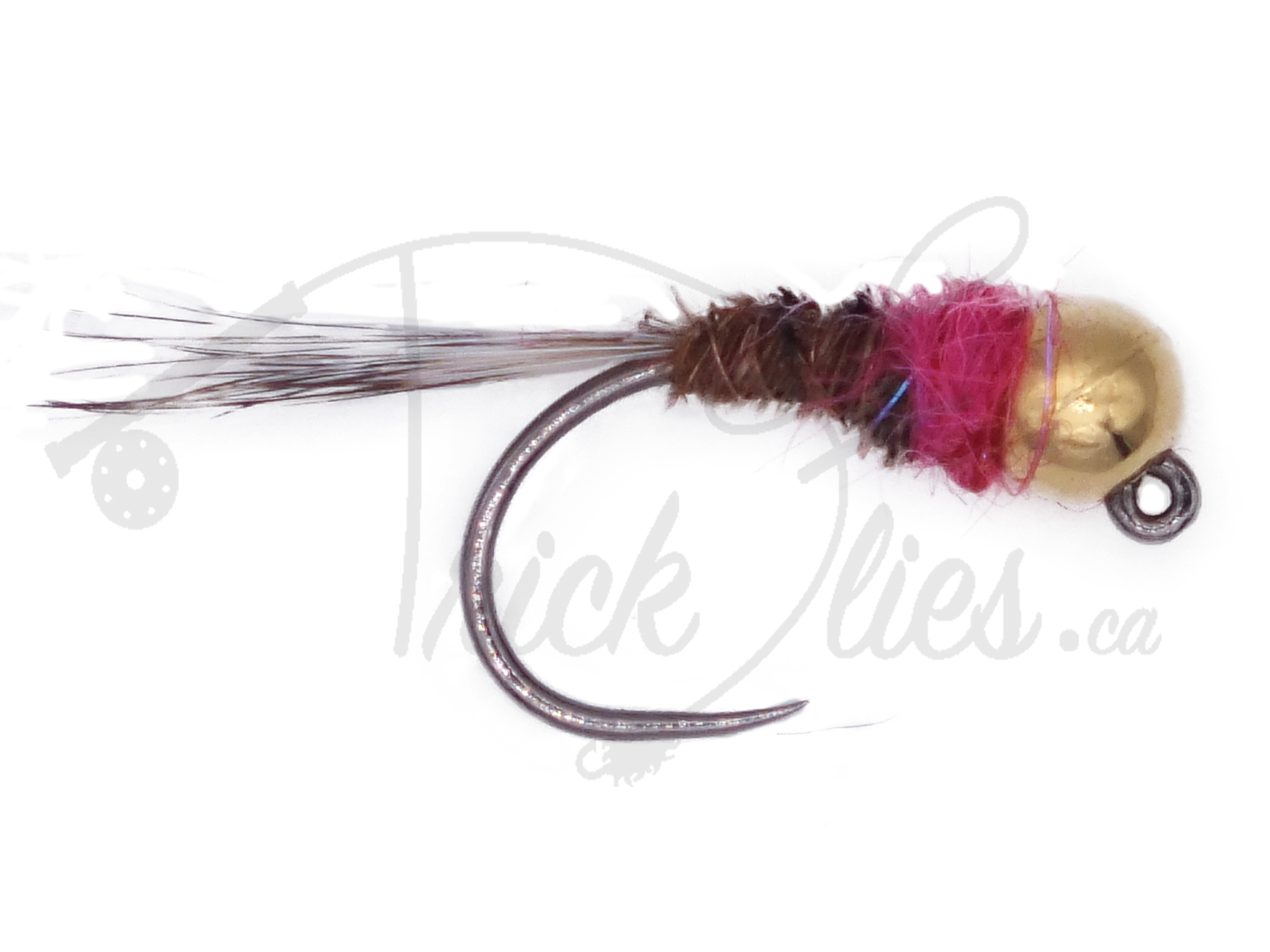 Tungsten Jighead Frenchie Nymph Barbless