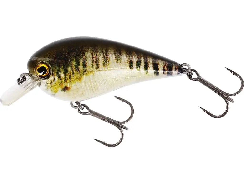 Westin BassBite Squarebill
