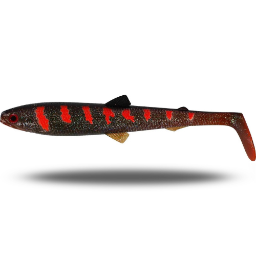 BullTeez Shadtail Large