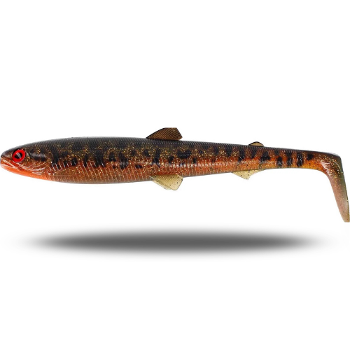 BullTeez Shadtail Large