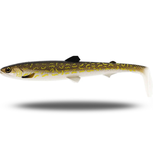 BullTeez Shadtail Large