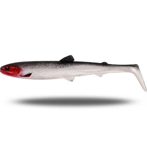 BullTeez Shadtail Large