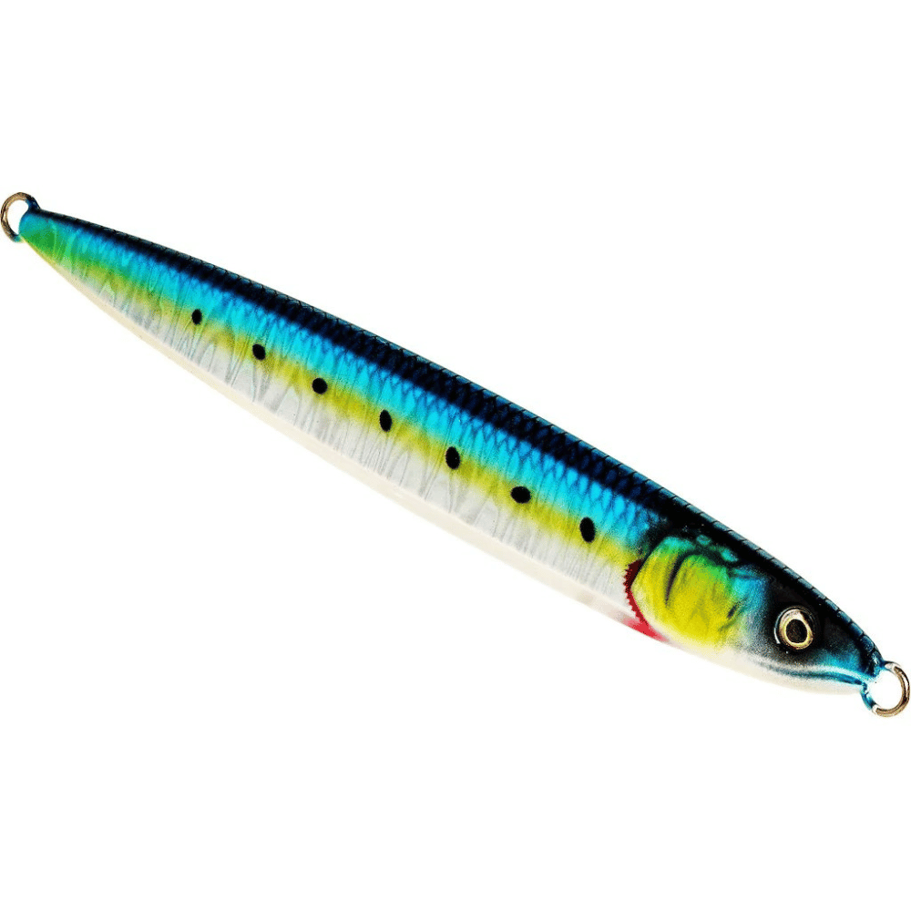 Flashin Anchovy