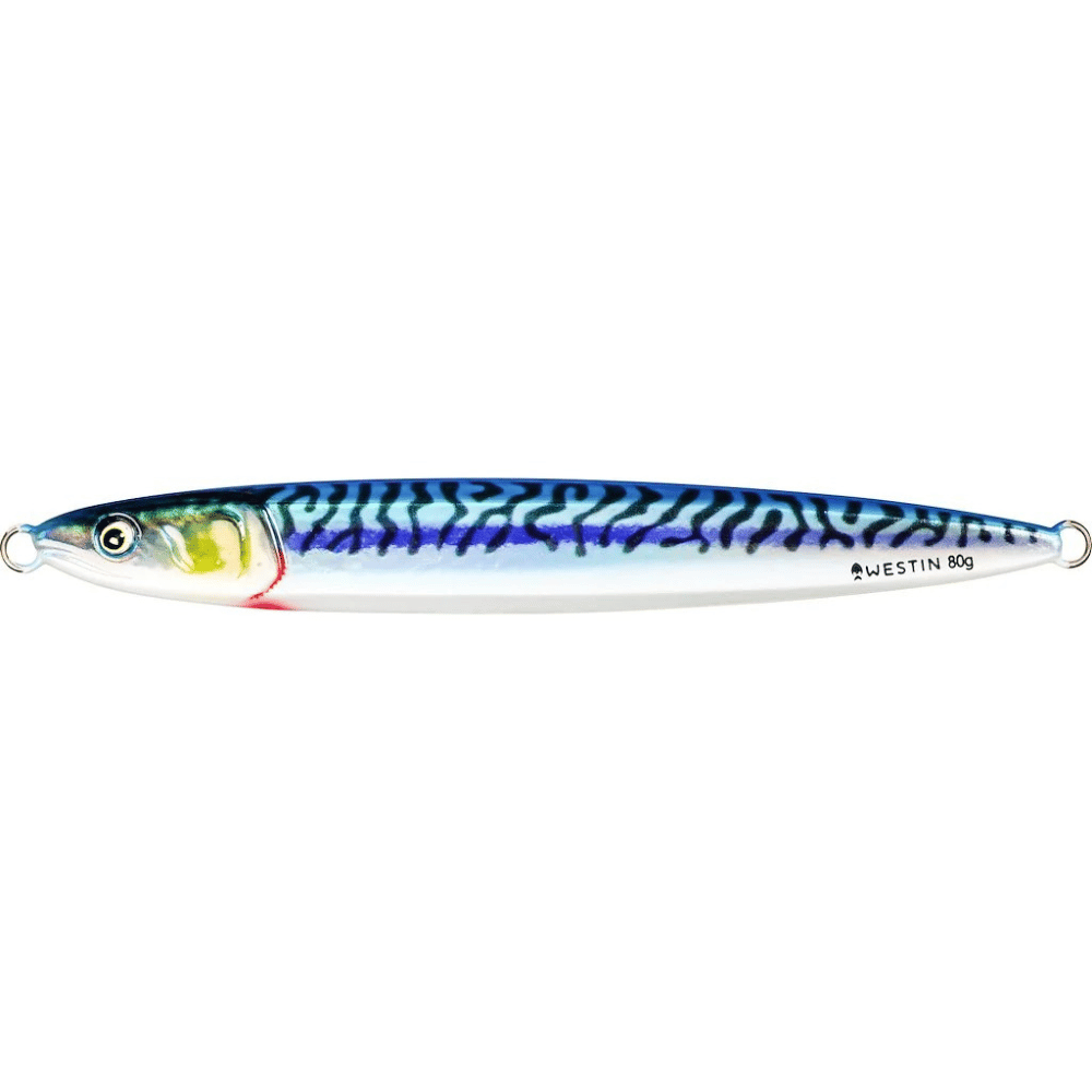 Flashin Anchovy