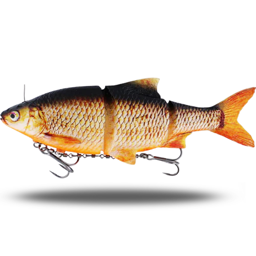 Ricky the Roach Inline
