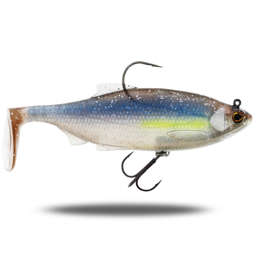 Ricky the Roach Shadtail R2F