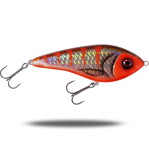 Swim 12cm