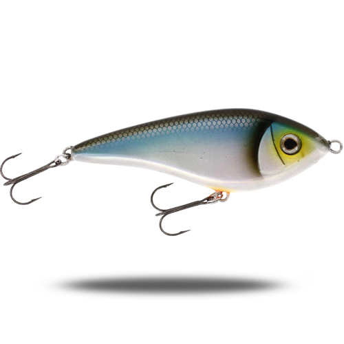 Swim 15cm