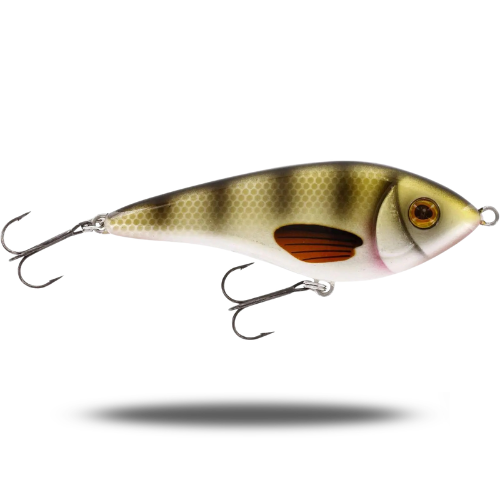 Swim 15cm