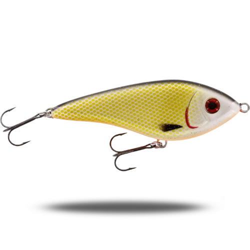 Swim 15cm