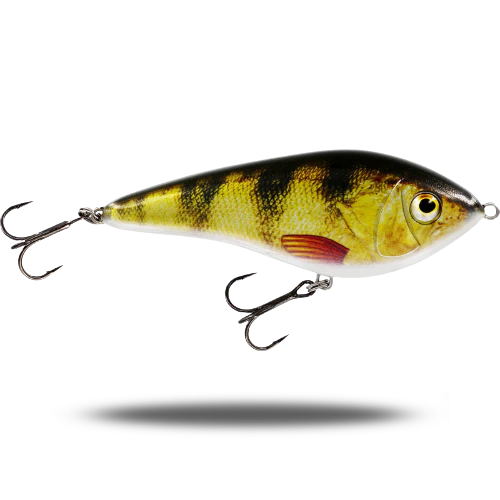 Swim 15cm
