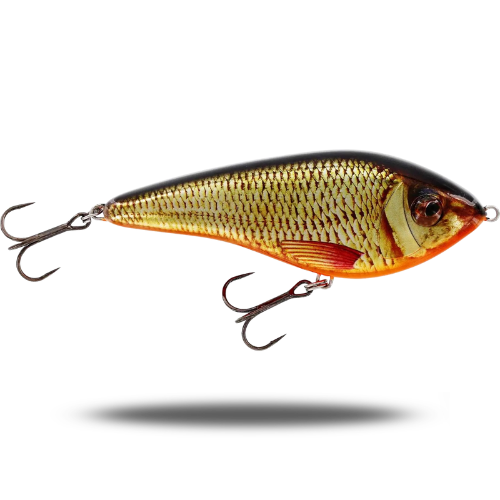 Swim 15cm