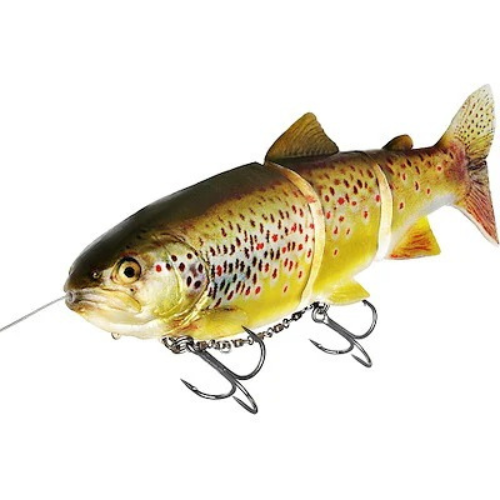 Tommy The Trout Inline