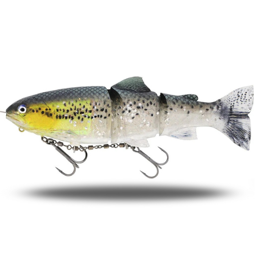 Tommy The Trout Inline