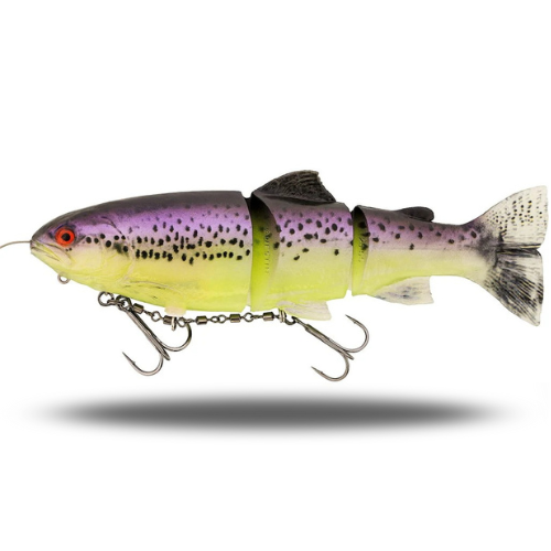 Tommy The Trout Inline