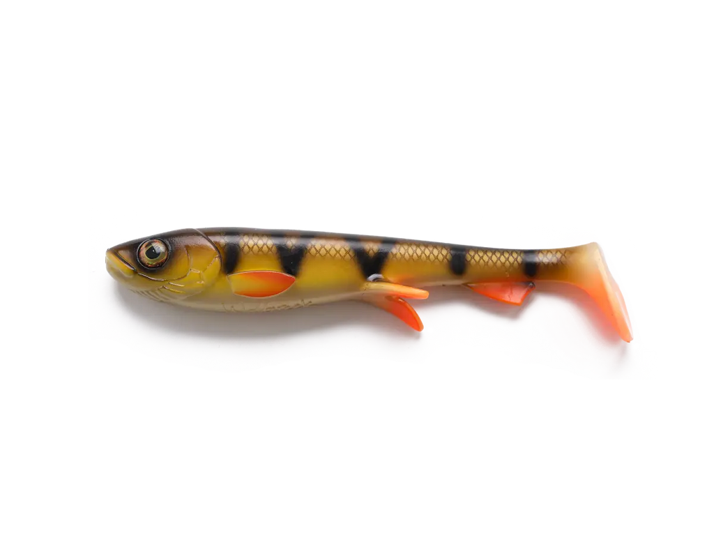 Shad 30cm, Pike & Musky