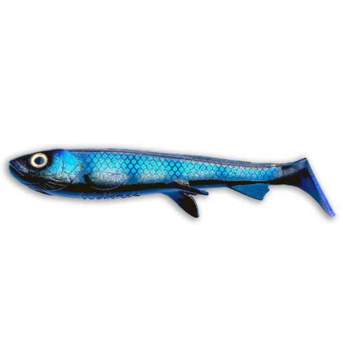 Shad 20cm - Pike & Musky