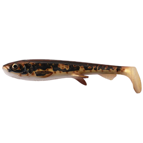 Shad 25cm - Pike & Musky