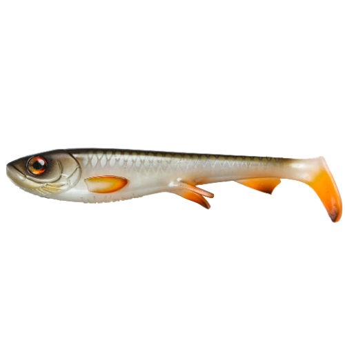 Shad 30cm, Pike & Musky