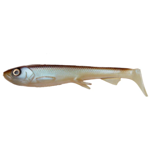 Shad 30cm, Pike & Musky