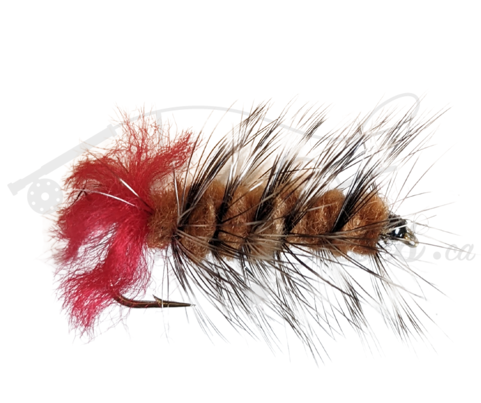 Woolly Worm Brown