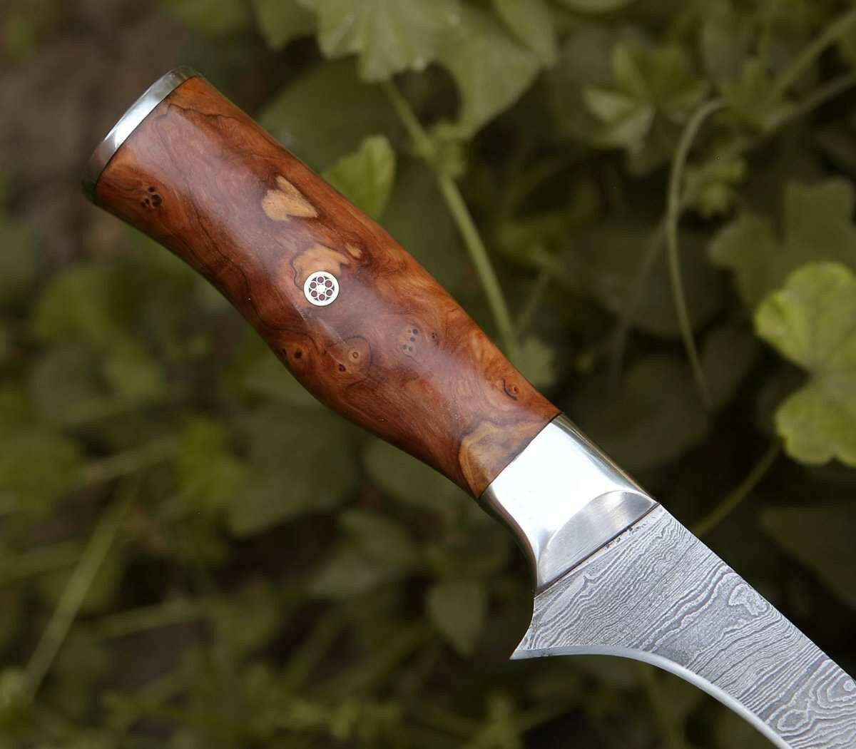 Knife with wooden handle and metal blade against a blurred green leafy background