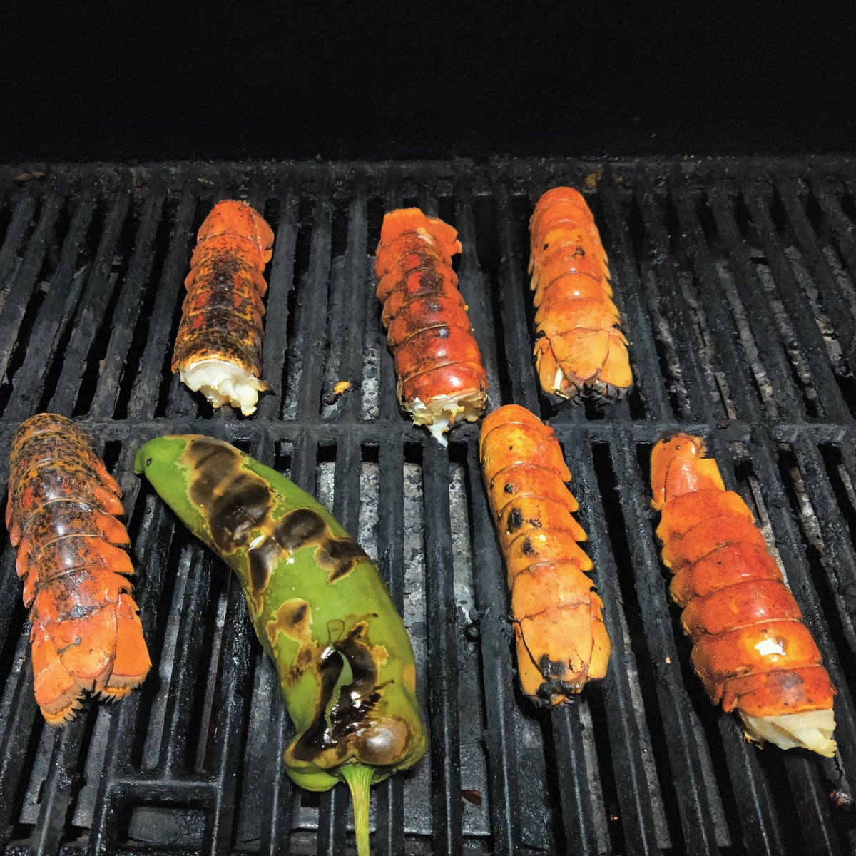 Shake to Elevate Nice & Easy No Salt Seasoning