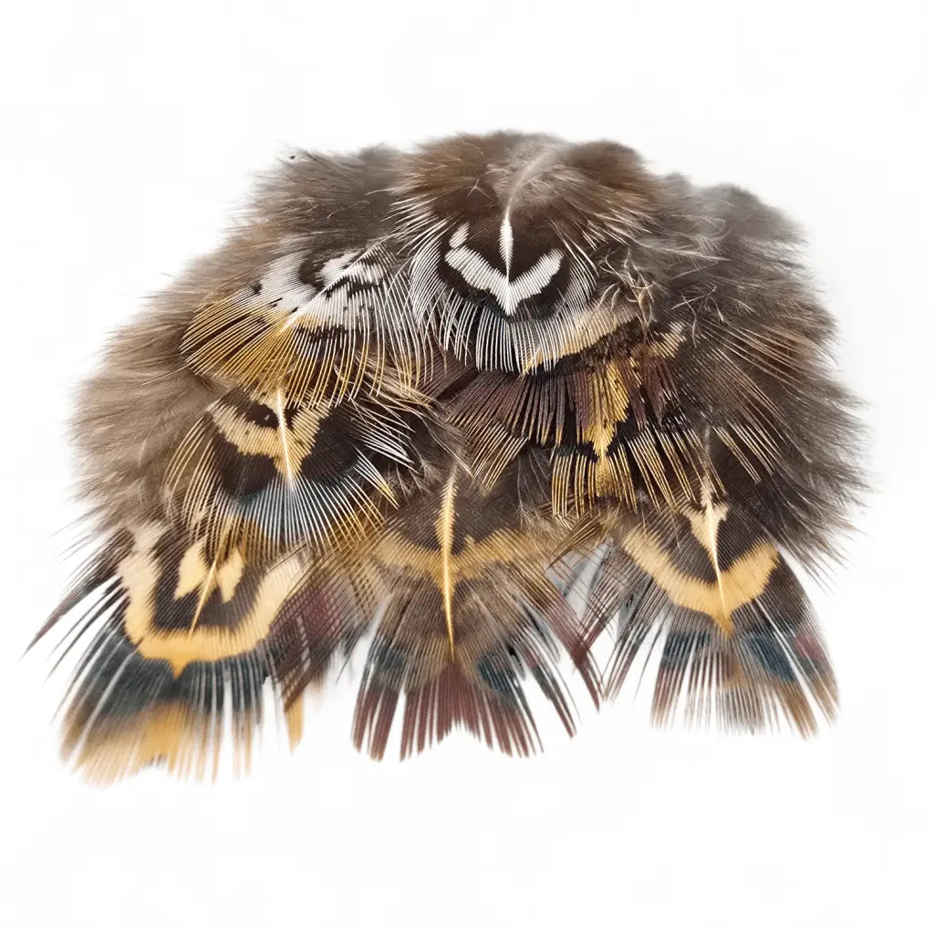 KINDALE - COCK PHEASANT SHORT RUMP FEATHERS