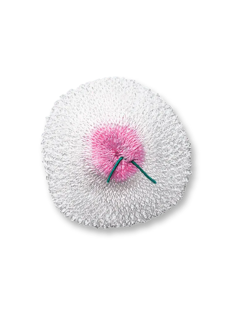 Primus Replacement Lantern Mantles - 3 Pack