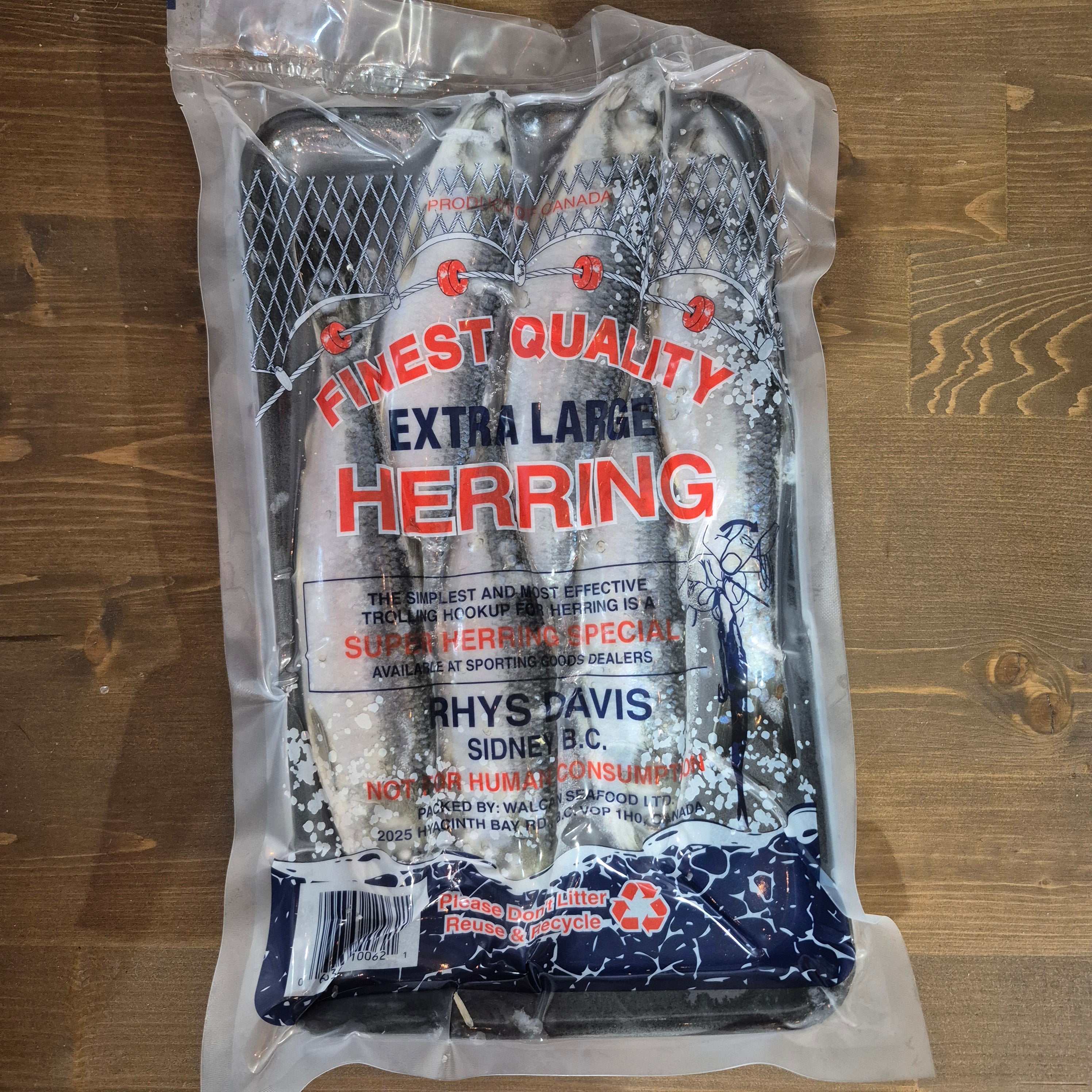 Herring 7", Med, Lrg, X-lrg