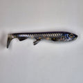 A realistic soft plastic fishing lure shaped like a small fish, shown from the side on a plain light gray background. The lure has a silver and blue-gray body with black scale details, a gold eye, and subtle iridescent shimmer.