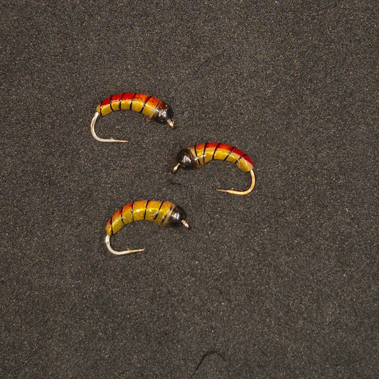 🍁Big Sky Tungsten Ice Bug Asst. Colors