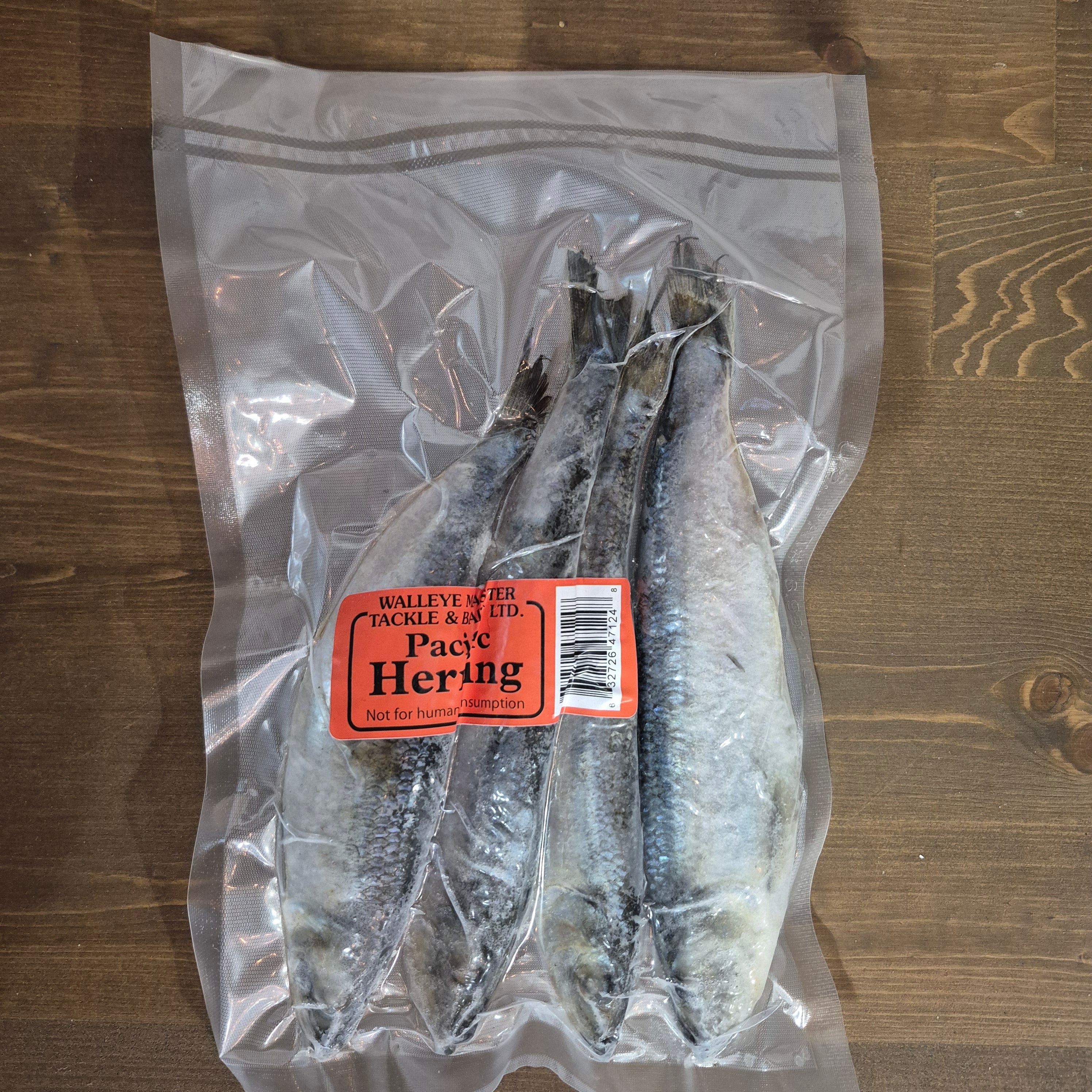 Pacific Herring